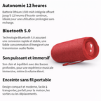 Enceinte bluetooth puissante Waterproof - Son immersif et riche